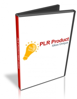 PLR Product Ideas Unique